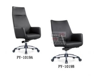 PY-1019