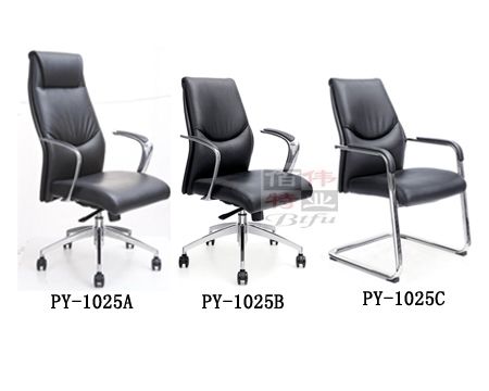 Ƥ��ϵ����