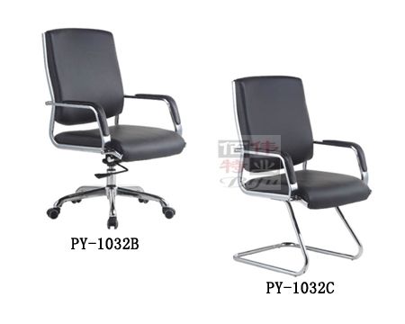 Ƥ��ϵ����